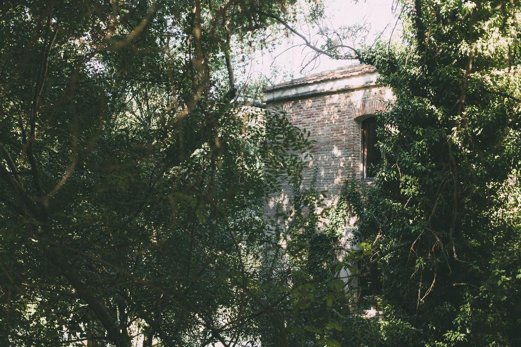 Fuente Acena Hotel Boutique Quintanilla de Onésimo Dış mekan fotoğraf